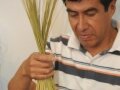 Foto-0157.JPG